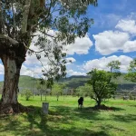 AF1QipMMYaRtOOwLPwyWqNKiU0F0lNEglvvoUBSnQISDw568-h568-n-rw-no-v1